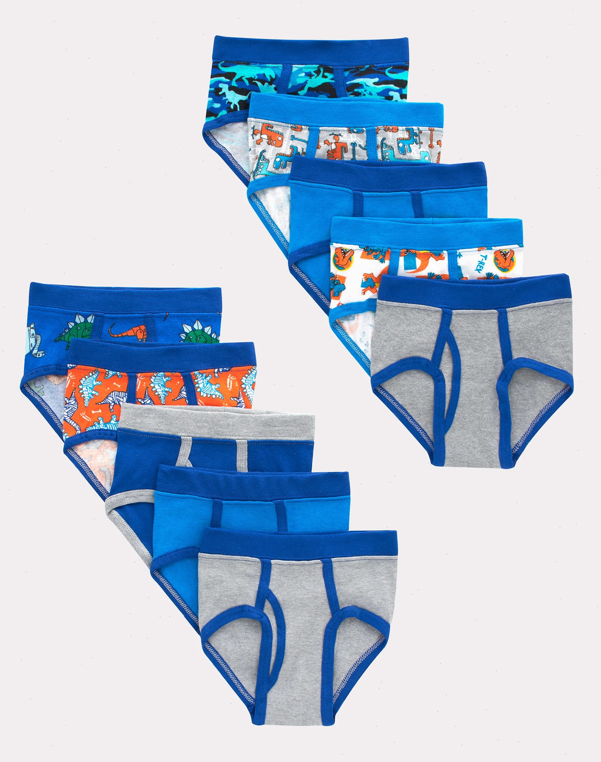 Hanes Toddler Boys' Tagless Briefs, Dinosaur Prints &amp; Solids, 10-Pack