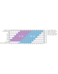 Hanes Curves Women's Sheer Socks, 2-Pairs