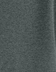 Hanes Men's Pique Polo Shirt (Big &amp; Tall Sizes Available)