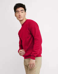 Hanes EcoSmart Unisex Fleece Sweatshirt (Big &amp; Tall Sizes Available)