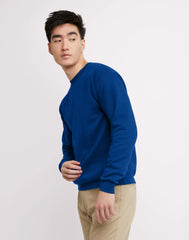 Hanes EcoSmart Unisex Fleece Sweatshirt (Big &amp; Tall Sizes Available)