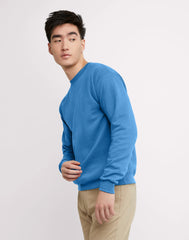 Hanes EcoSmart Unisex Fleece Sweatshirt (Big &amp; Tall Sizes Available)