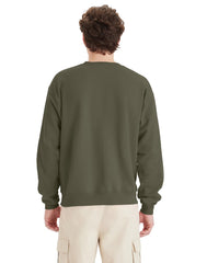 Hanes EcoSmart Unisex Fleece Sweatshirt (Big &amp; Tall Sizes Available)