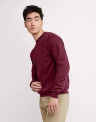 Hanes EcoSmart Unisex Fleece Sweatshirt (Big &amp; Tall Sizes Available)