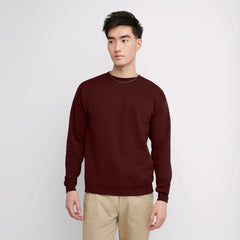 Hanes EcoSmart Unisex Fleece Sweatshirt (Big &amp; Tall Sizes Available)