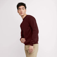 Hanes EcoSmart Unisex Fleece Sweatshirt (Big &amp; Tall Sizes Available)