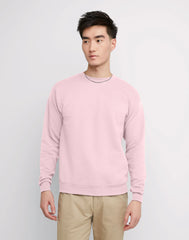 Hanes EcoSmart Unisex Fleece Sweatshirt (Big &amp; Tall Sizes Available)