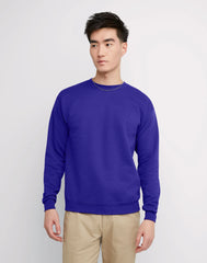 Hanes EcoSmart Unisex Fleece Sweatshirt (Big &amp; Tall Sizes Available)