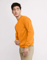 Hanes EcoSmart Unisex Fleece Sweatshirt (Big &amp; Tall Sizes Available)