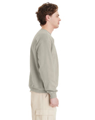 Hanes EcoSmart Unisex Fleece Sweatshirt (Big &amp; Tall Sizes Available)