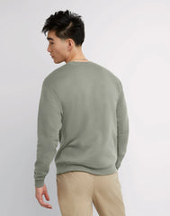 Hanes EcoSmart Unisex Fleece Sweatshirt (Big &amp; Tall Sizes Available)