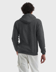 Hanes EcoSmart Unisex Fleece Hoodie (Big &amp; Tall Sizes Available)