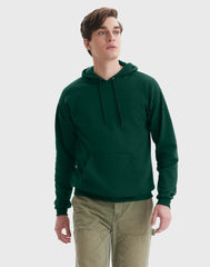 Hanes EcoSmart Unisex Fleece Hoodie (Big &amp; Tall Sizes Available)