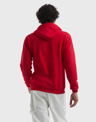 Hanes EcoSmart Unisex Fleece Hoodie (Big &amp; Tall Sizes Available)